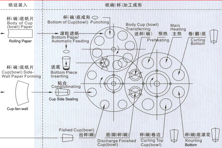 The Flow in Paper Cup/Bowl/Bucket Forming/Shaping Machines